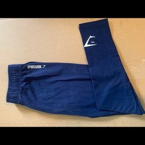 Gymshark Ark Jersey Leggings